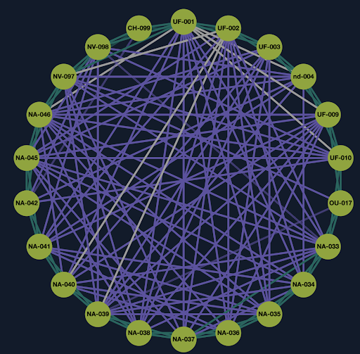 The EdgeVPN network